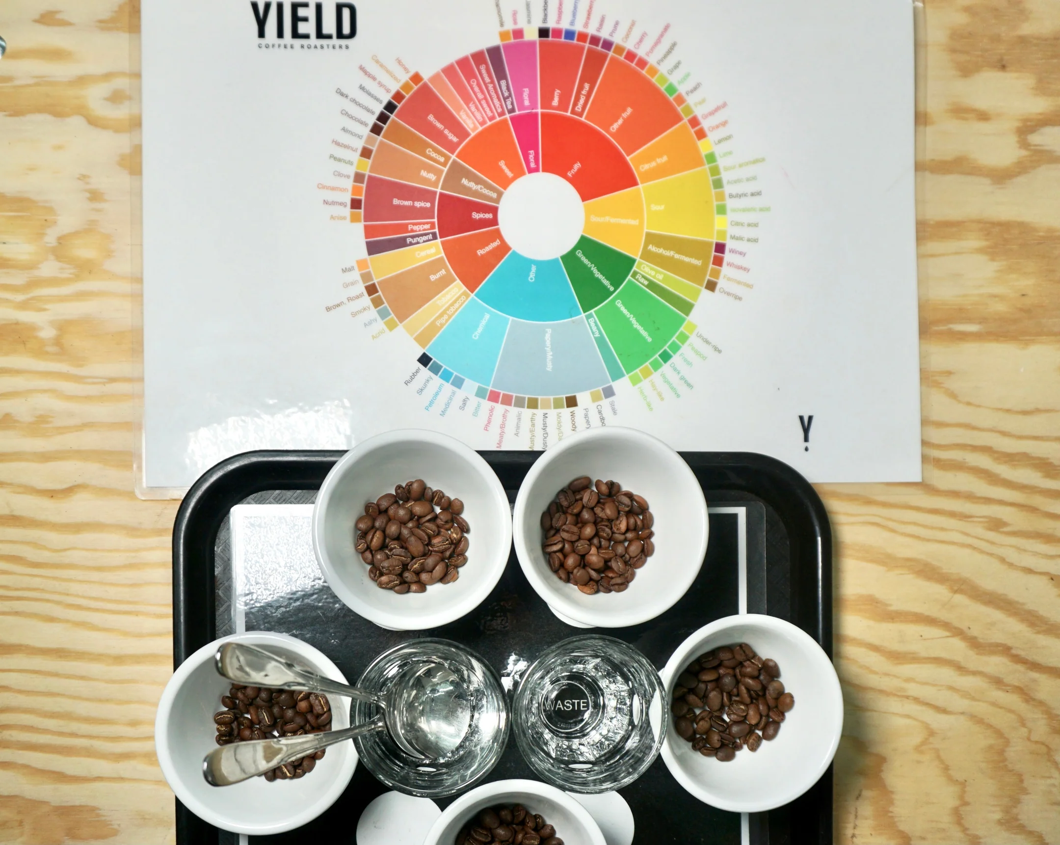 Coffee cupping session with sensory flavor wheel